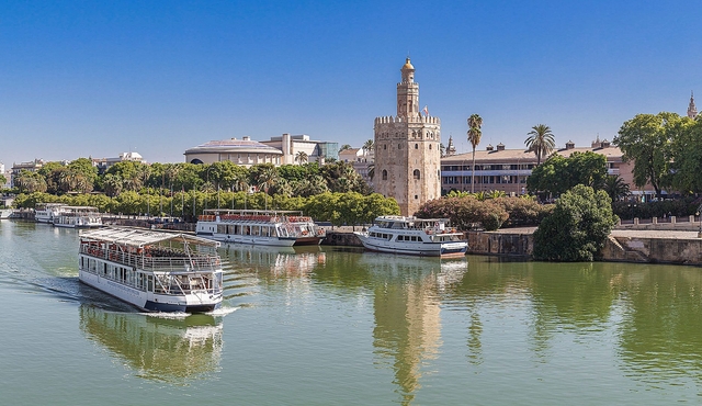 Seville: Sightseeing Cruise from Torre Del Oro
