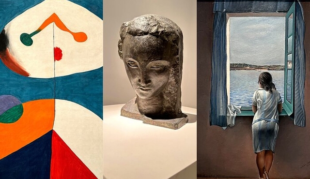 Reina Sofia Museum Madrid Exclusive Guided Tour