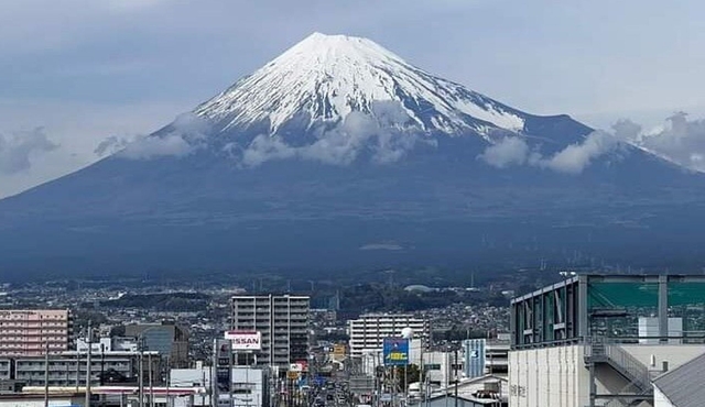 Mount Fuji Oshino Hakkai Sengen Park Sightseeing Day Tour