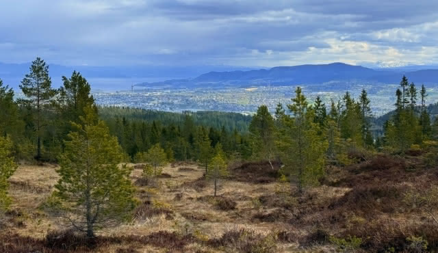 Hiking tour in Trondheim