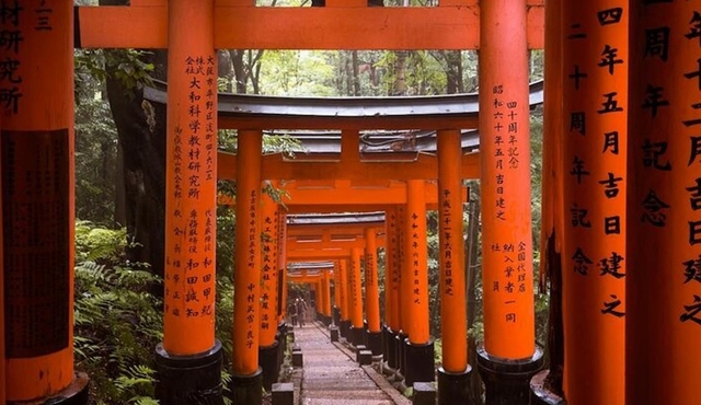 Full Day Kyoto and Nara Tour
