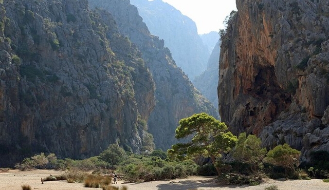 Private Self‐Guided Audio Tour in Mallorca
