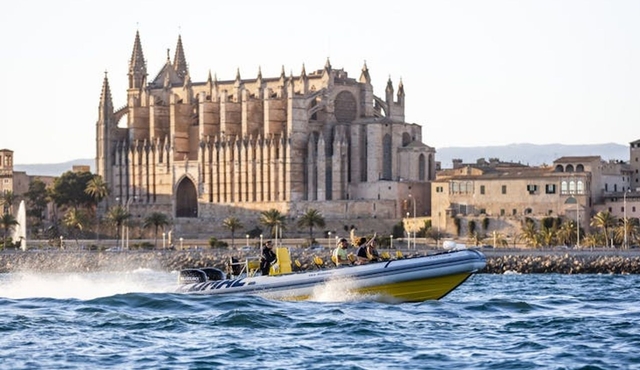Discovery Speedboat Experience in Mallorca