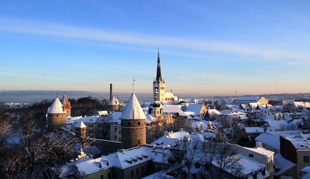 Tallinn and Estonian nature tour