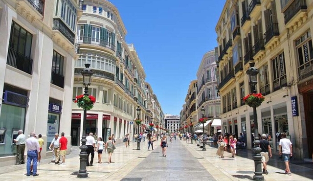 Private Day Trip to Malaga from Costa del Sol