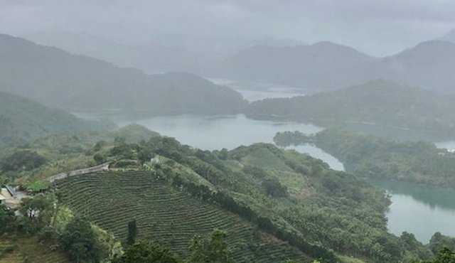 Pinglin Tea Culture & Maokong: Guided Day Tour from Taipei + Gondola Ride