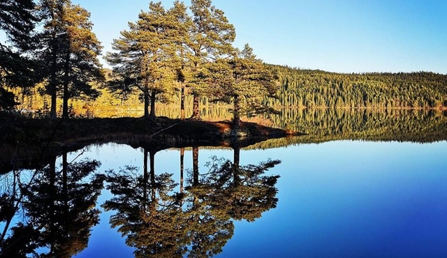 Explore the beautiful nature of Trondheim