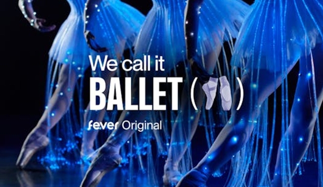 We Call it Ballet Sleeping Beauty Dance and Light Show in Bonn