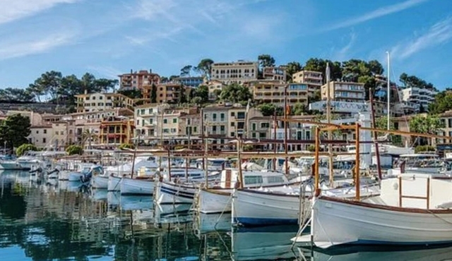 Mallorca Island Excursion: Exclusive Soller and Valldemosa
