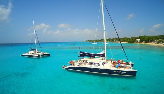 Catamaran and Snorkeling Cruise At Carlisle Bay