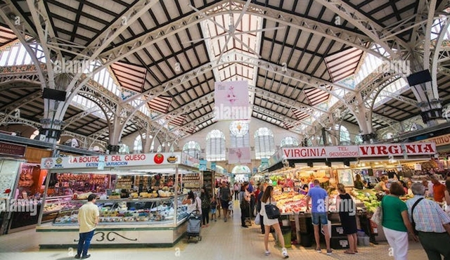Valencia full‐day guided tour from Alicante