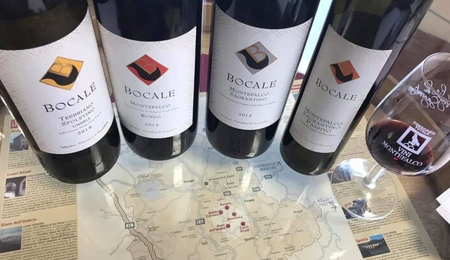 Tasting Selection of 4 wines in Montefalco