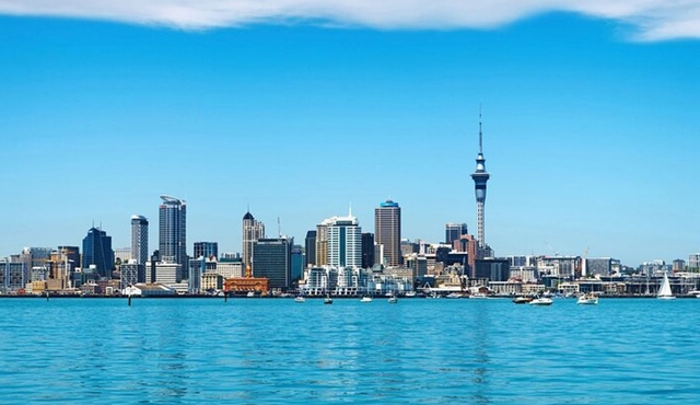 Auckland City Volcano Tour