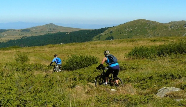 Vitosha Trail Hunter Bike Tour from Sofia