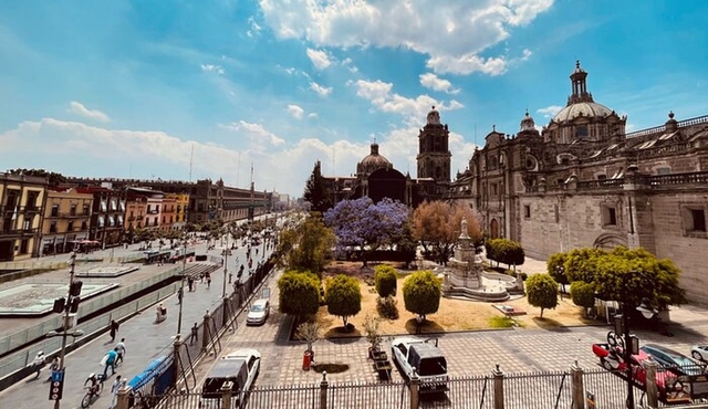 Mexico City Center Private Walking Tour