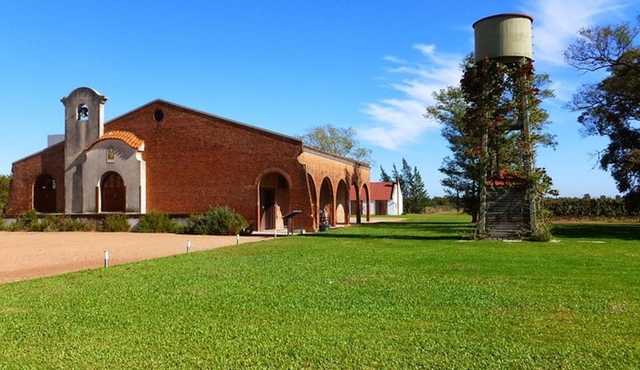Wine cellar & Tasting in Montevideo with Outstanding Lunch