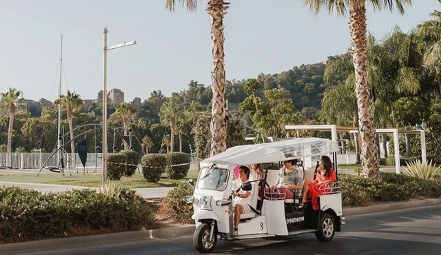 Private 90‐minute tour of the highlights of Malaga