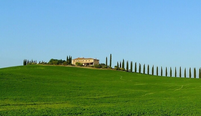 Rome to Pienza and Montepulciano Private Day Trip