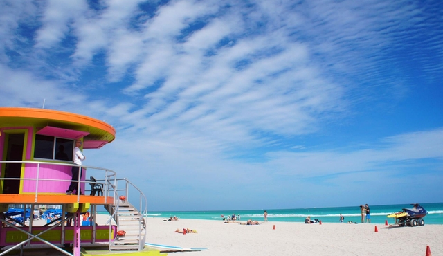 Enjoy the NEW Miami City Tour!