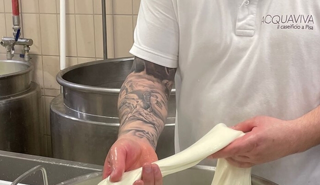 Pisa Exclusive Cheese Making & tasting experience