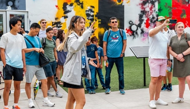 Wynwood Walls: General Admission + Small‐Group Guided Tour