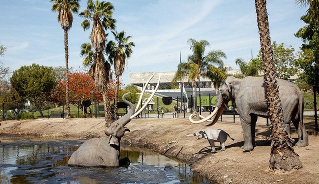 La Brea Tar Pits and Museum Admission Ticket in Los Angeles