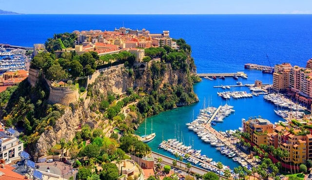 Private Tour Hidden Gems, Art & Monumental Trees from Monaco