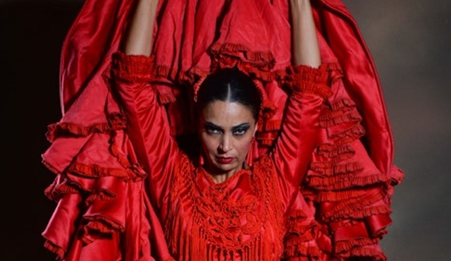 Teatro Flamenco Granada: Sensaciones Show