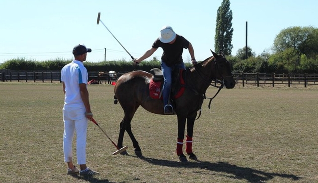 Polo & Horse Riding Experience: Windsor