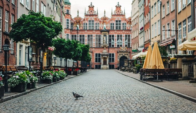 German Influence in Gdansk Old Town Private Walking Tour