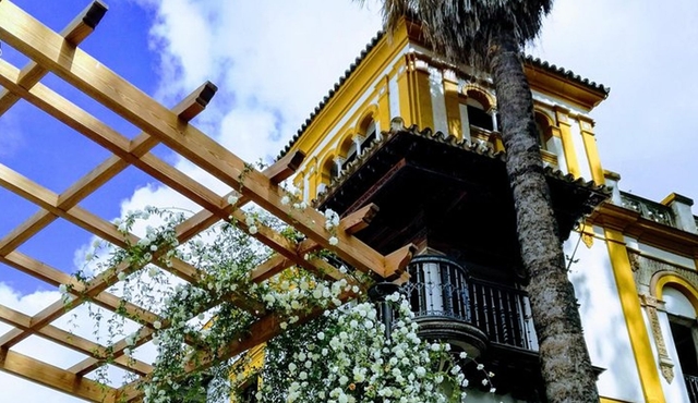 Introduction to Seville Private Tour