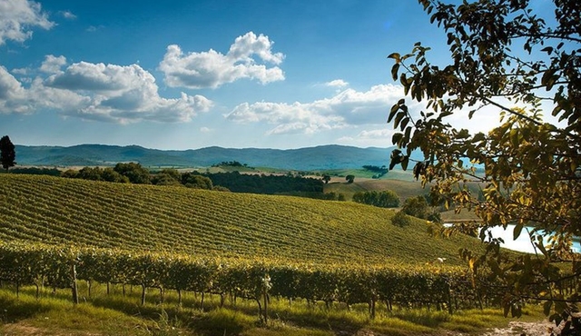 Montalcino and Pienza Private Tour with Lunch, Wine Tasting