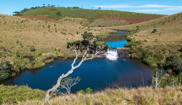 Horton Plains Nuwara Eliya Tour