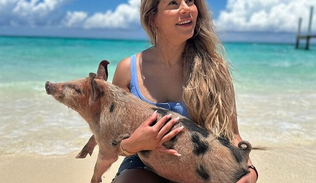 Nassau, Private Swimming Pig, Island Hopping, Snorkeling, Turtles
