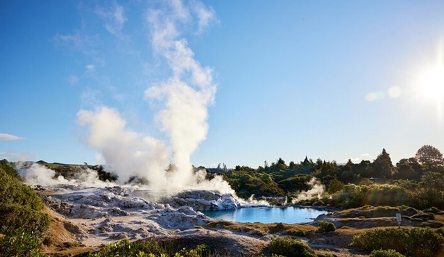 Auckland: Rotorua Māori Village w Haka & Waitomo Caves Day Tour