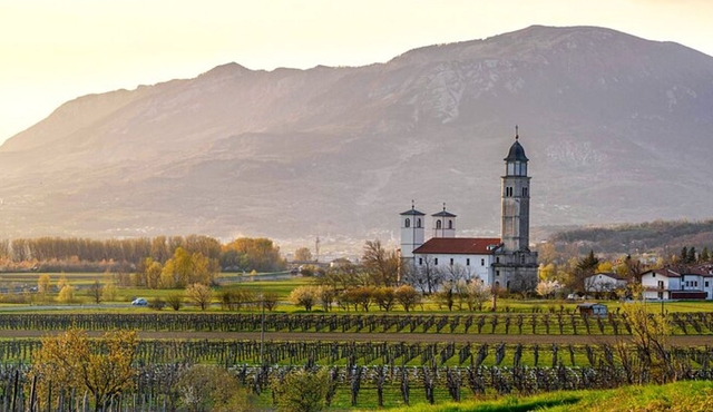 Vipava Valley Wine Express Tour From Ljubljana