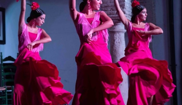 Cordoba: Flamenco Show with Welcome Drink