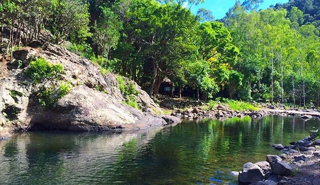 Hiking the Black River Gorges: Full‐day with Lunch and Transfer