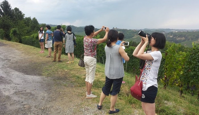 Siena Monteriggioni San Gimignano with Lunch&WineTasting Fullday from Florence