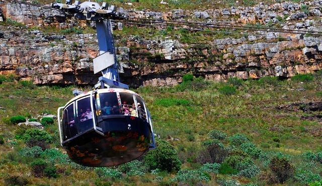 Cape Town Table Mountain and Peninsula Tour