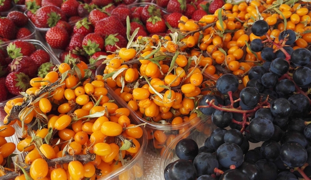 Private Culinary and Cultural tour in Helsinki