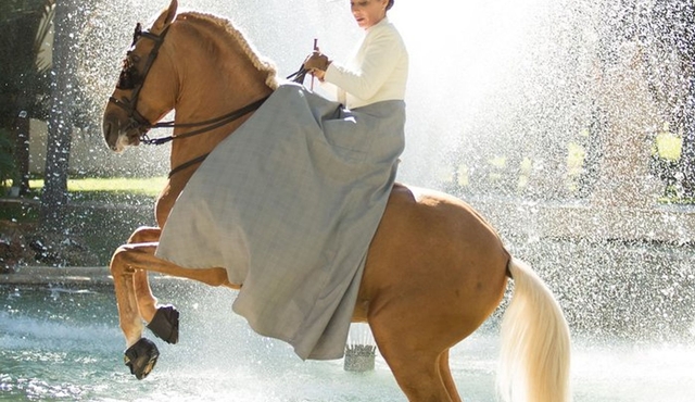 Horse and Flamenco Show in Malaga