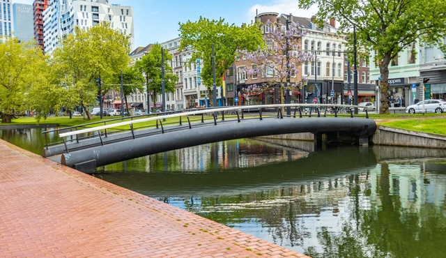 Historical walk of Rotterdam with a Local