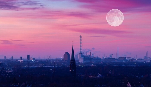 Duisburg Private Guided Walking Tour