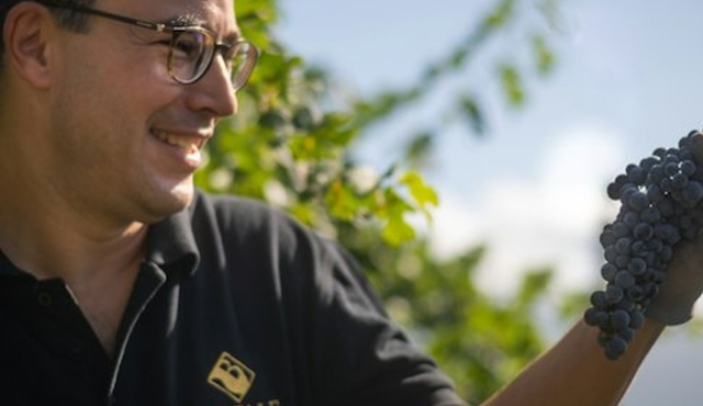 Guided Winery Tour and Private Tasting in Montefalco