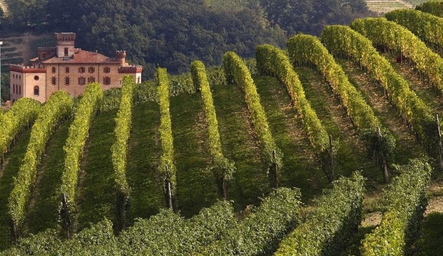Private Tour: Barolo Wine Tasting in Langhe area from Torino