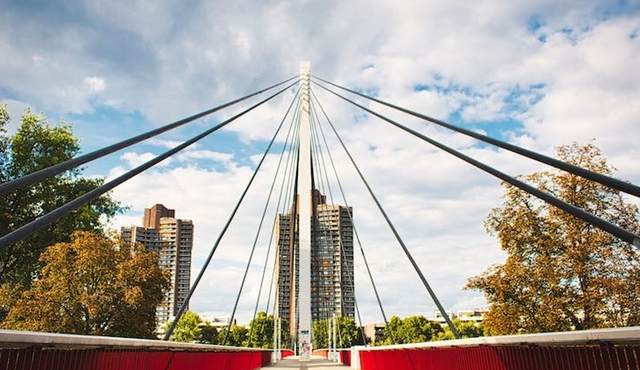 Mannheim art and culture tour with a local