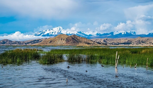 Private Transfer From Puno to Oruro with English Speaking Driver