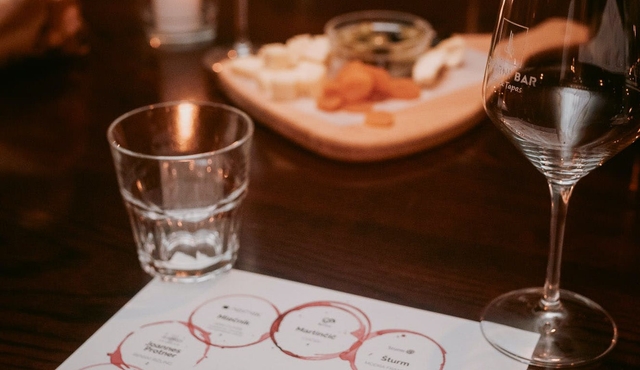 Wine tasting in Ljubljana