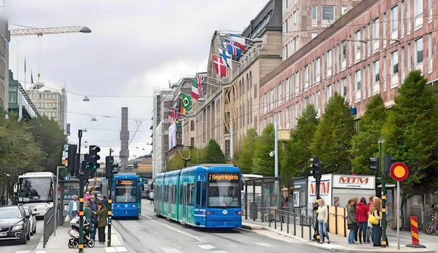 Stockholm City private walking tour